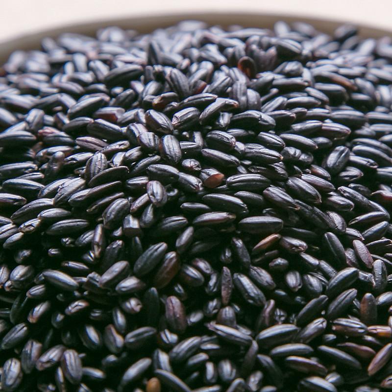 Black Rice