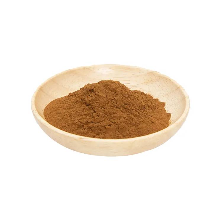 Water Soluble Bacopa Monnieri Extract Powder Bulk