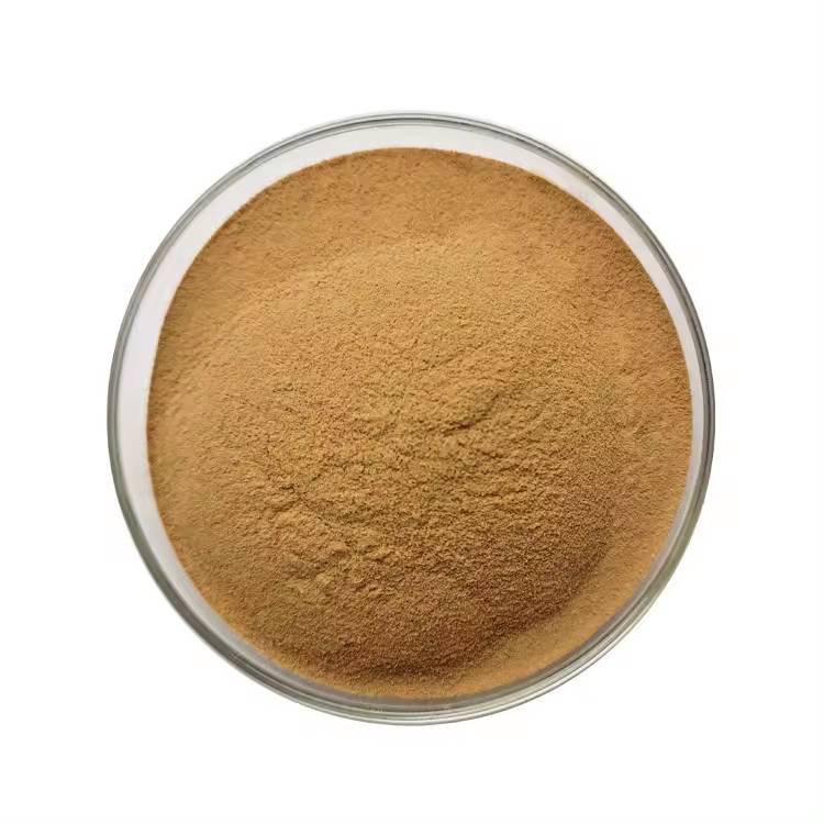 Artichoke Leaf Extract Powder