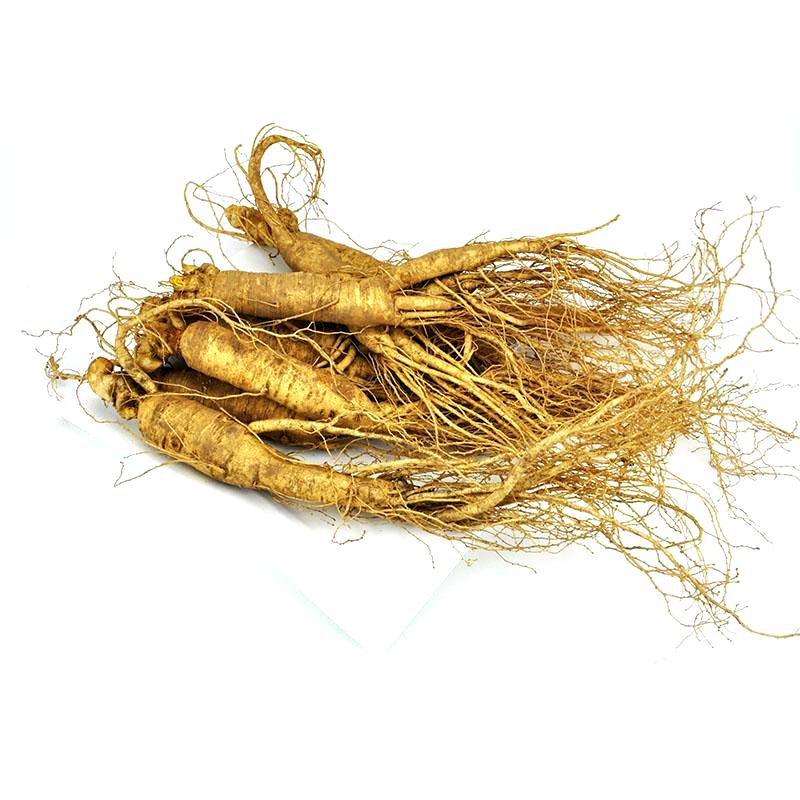 Ginseng 