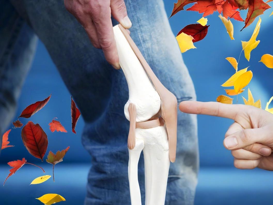 Natural Xanthohumol in Hops Extract Enhances Bone Health Product Upgrades