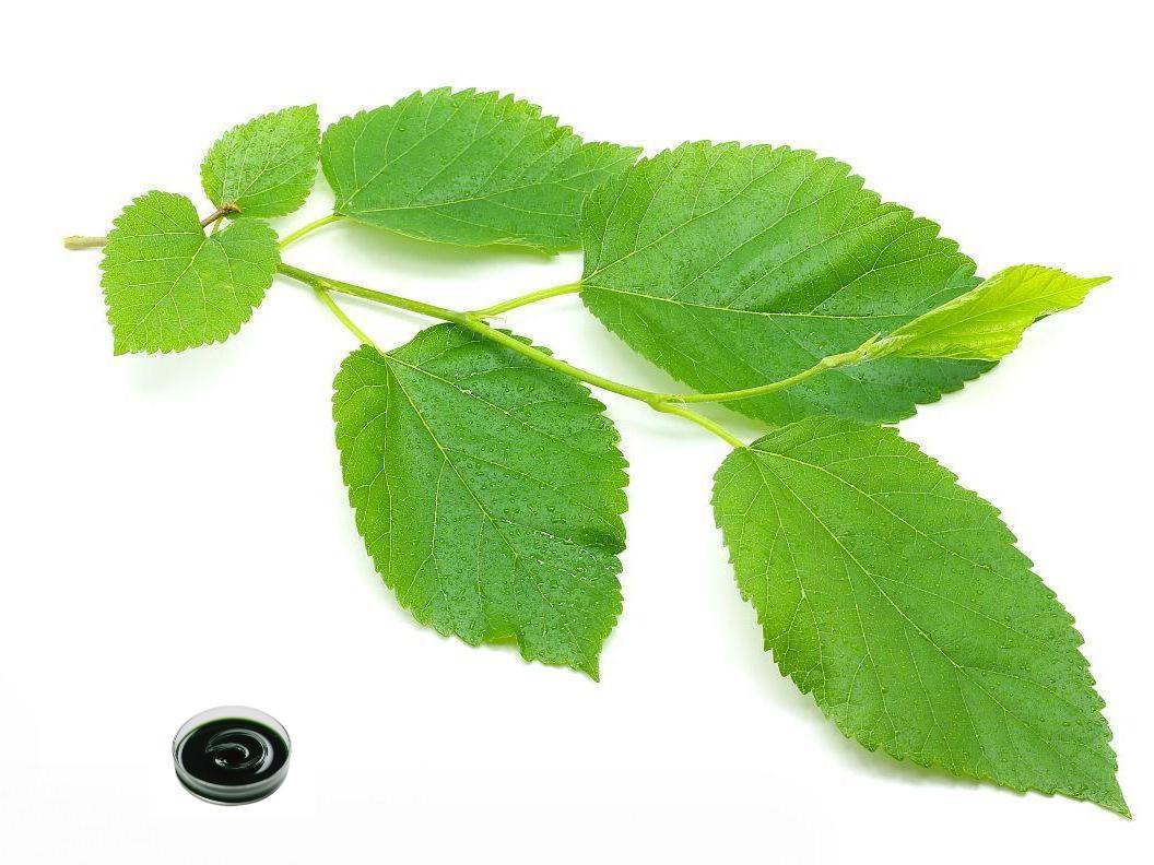 Copper Chlorophyllin 15% Liquid